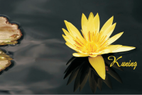 Image of Kuning