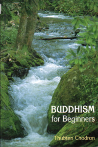 Image of Buddhism for Beginners