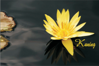 Image of Kuning