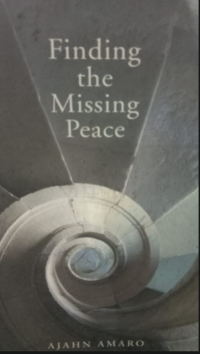 Image of Finding The Missing  Peace