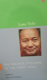 Image of The Peaceful Stilliness Of The Silent Mind