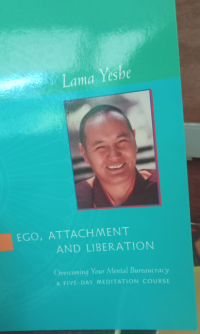 Image of Ego Attachment And Liberation