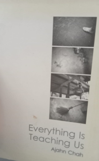 Image of Everything Is Teaching Us