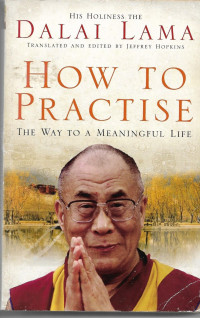 Image of How To Practise : The Way to a Meaningful Life