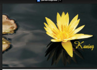 Image of Kuning